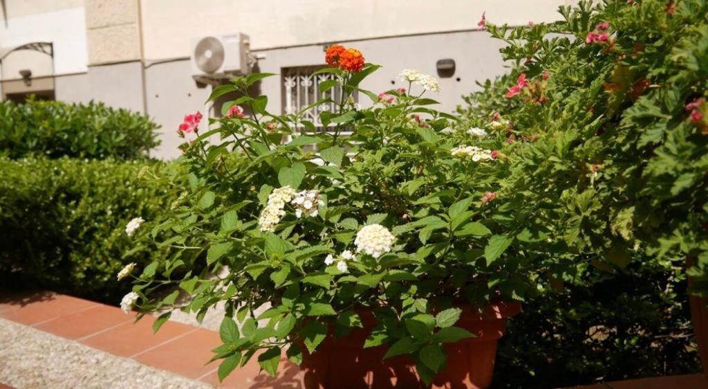 House With Garden And Parking Space In Mergellina Nápoles Exterior foto